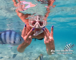 Underwater Odyssey snorkeling excursion Pattaya Thailand photo 10977
