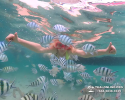 Underwater Odyssey snorkeling excursion in Pattaya Thailand photo 69