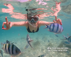 Underwater Odyssey snorkeling tour from Pattaya Thailand photo 14498