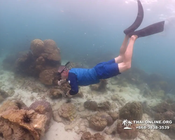 Underwater Odyssey snorkeling excursion in Pattaya Thailand photo 280