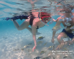 Underwater Odyssey snorkeling excursion in Pattaya Thailand photo 888