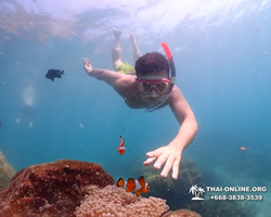 Underwater Odyssey snorkeling excursion in Pattaya Thailand photo 570