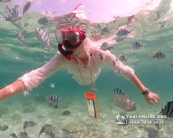 Underwater Odyssey snorkeling tour from Pattaya Thailand photo 18288