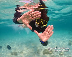 Underwater Odyssey snorkeling tour from Pattaya Thailand photo 14342