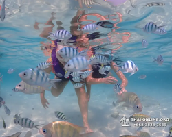 Underwater Odyssey snorkeling excursion in Pattaya Thailand photo 906