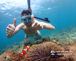 Underwater Odyssey snorkeling excursion Pattaya Thailand photo 11338