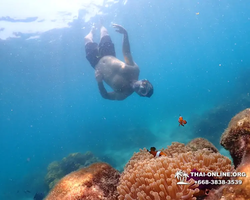 Underwater Odyssey snorkeling excursion in Pattaya Thailand photo 940