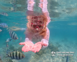 Underwater Odyssey snorkeling tour from Pattaya Thailand photo 14570