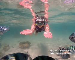 Underwater Odyssey snorkeling excursion Pattaya Thailand photo 19560