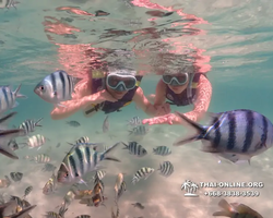 Underwater Odyssey snorkeling excursion Pattaya Thailand photo 19384