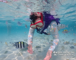 Underwater Odyssey snorkeling excursion in Pattaya Thailand photo 693