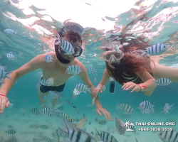 Underwater Odyssey snorkeling excursion in Pattaya Thailand photo 39