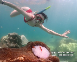 Underwater Odyssey snorkeling excursion Pattaya Thailand photo 19525