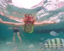 Underwater Odyssey snorkeling excursion in Pattaya Thailand photo 140