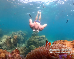 Underwater Odyssey snorkeling tour from Pattaya Thailand photo 14512