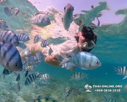 Underwater Odyssey snorkeling excursion Pattaya Thailand photo 11258