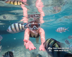 Underwater Odyssey snorkeling tour from Pattaya Thailand photo 14195