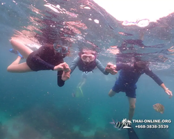 Underwater Odyssey snorkeling excursion in Pattaya Thailand photo 117