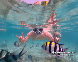Underwater Odyssey snorkeling tour from Pattaya Thailand photo 14450