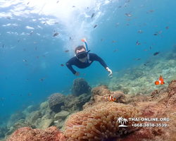 Underwater Odyssey snorkeling excursion Pattaya Thailand photo 11370