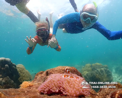 Underwater Odyssey snorkeling excursion Pattaya Thailand photo 14812