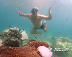 Underwater Odyssey snorkeling excursion Pattaya Thailand photo 19555