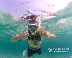 Underwater Odyssey snorkeling tour from Pattaya Thailand photo 18454