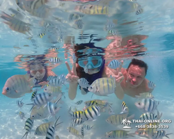 Underwater Odyssey snorkeling excursion in Pattaya Thailand photo 822