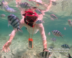 Underwater Odyssey snorkeling tour from Pattaya Thailand photo 18298