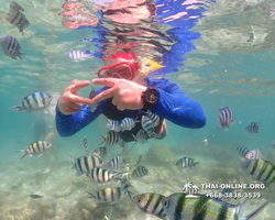 Underwater Odyssey snorkeling excursion Pattaya Thailand photo 14755