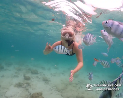 Underwater Odyssey snorkeling excursion in Pattaya Thailand photo 277