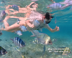Underwater Odyssey snorkeling excursion Pattaya Thailand photo 11253