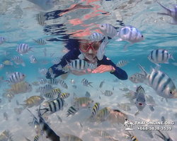 Underwater Odyssey snorkeling excursion in Pattaya Thailand photo 664