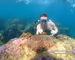 Underwater Odyssey snorkeling excursion Pattaya Thailand photo 11548