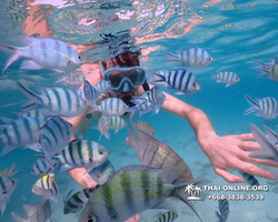Underwater Odyssey snorkeling excursion Pattaya Thailand photo 11060