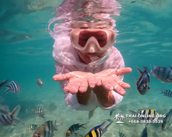 Underwater Odyssey snorkeling tour from Pattaya Thailand photo 14491