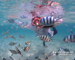 Underwater Odyssey snorkeling excursion in Pattaya Thailand photo 411