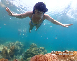 Underwater Odyssey snorkeling tour from Pattaya Thailand photo 14558