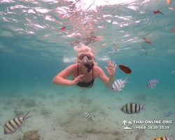 Underwater Odyssey snorkeling excursion in Pattaya Thailand photo 186