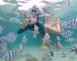 Underwater Odyssey snorkeling excursion in Pattaya Thailand photo 84