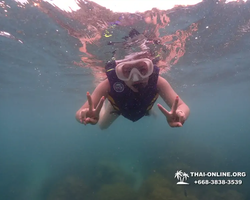 Underwater Odyssey snorkeling excursion in Pattaya Thailand photo 287