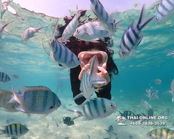 Underwater Odyssey snorkeling excursion Pattaya Thailand photo 11211