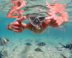 Underwater Odyssey snorkeling tour from Pattaya Thailand photo 14359