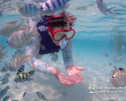 Underwater Odyssey snorkeling excursion in Pattaya Thailand photo 981