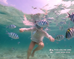 Underwater Odyssey snorkeling tour from Pattaya Thailand photo 18403