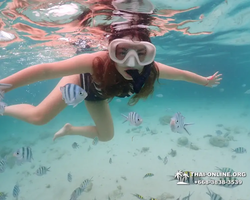 Underwater Odyssey snorkeling excursion in Pattaya Thailand photo 165