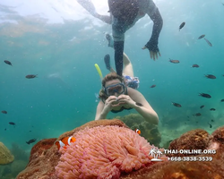 Underwater Odyssey snorkeling tour from Pattaya Thailand photo 18302