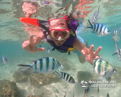 Underwater Odyssey snorkeling excursion Pattaya Thailand photo 19069