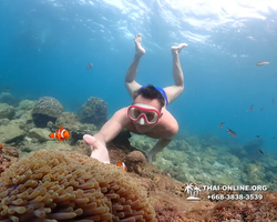 Underwater Odyssey snorkeling excursion Pattaya Thailand photo 11421