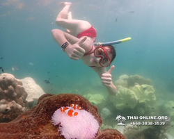 Underwater Odyssey snorkeling excursion Pattaya Thailand photo 19558